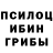 Псилоцибиновые грибы Magic Shrooms Zoir Matniyozov