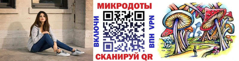 Псилоцибиновые грибы Cubensis  Урай 