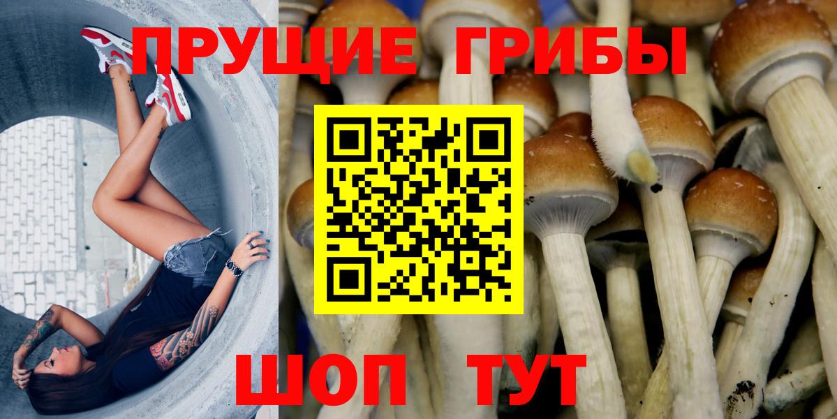 Урай  Псилоцибиновые грибы GOLDEN TEACHER  хочу   Вход с VPN  Галлюциногенные грибы ЛСД 