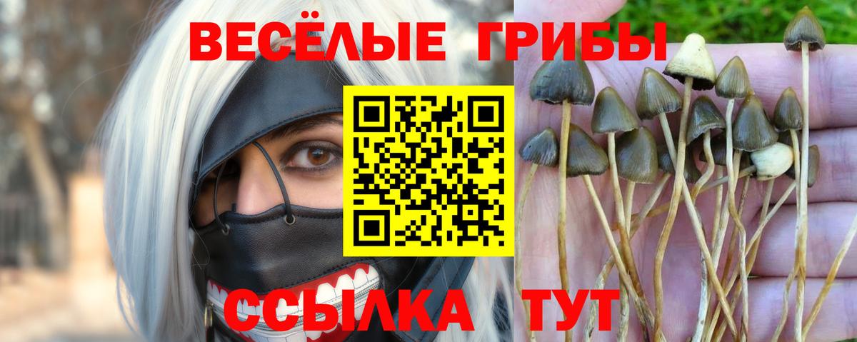 Галлюциногенные грибы MAGIC MUSHROOMS Урай